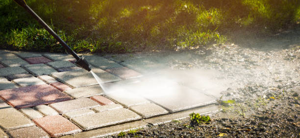 Best Gutter Cleaning  in Suitland, MD